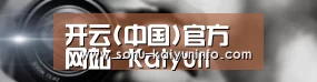 公司动态