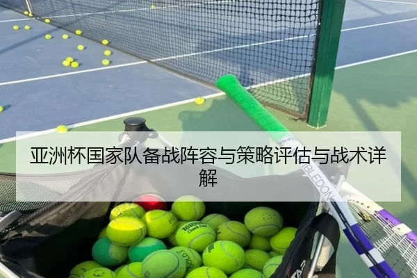 亚洲杯国家队备战阵容与策略评估与战术详解